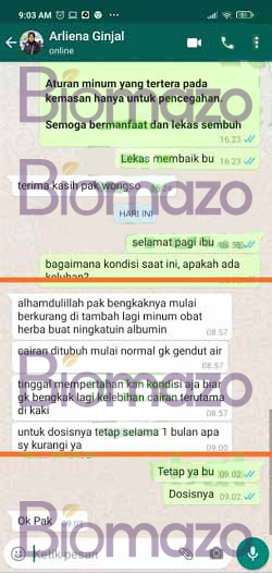 Testi WA Arliena