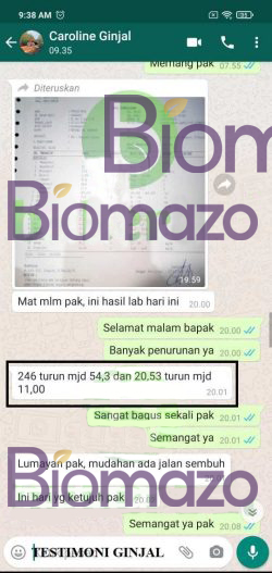 Testi WA Caroline