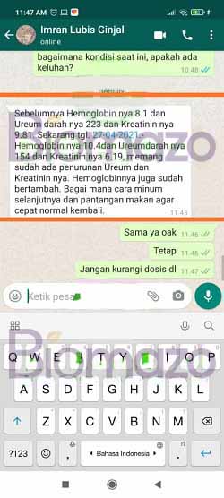 Testi WA Imran Lubis